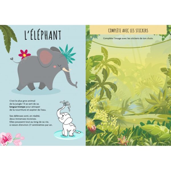 Sassi livres albums illustrés livres sonores touche a tout couleur formes animaux parents enfants cadeaux lecture repos le béguin de Charlie concept store tours